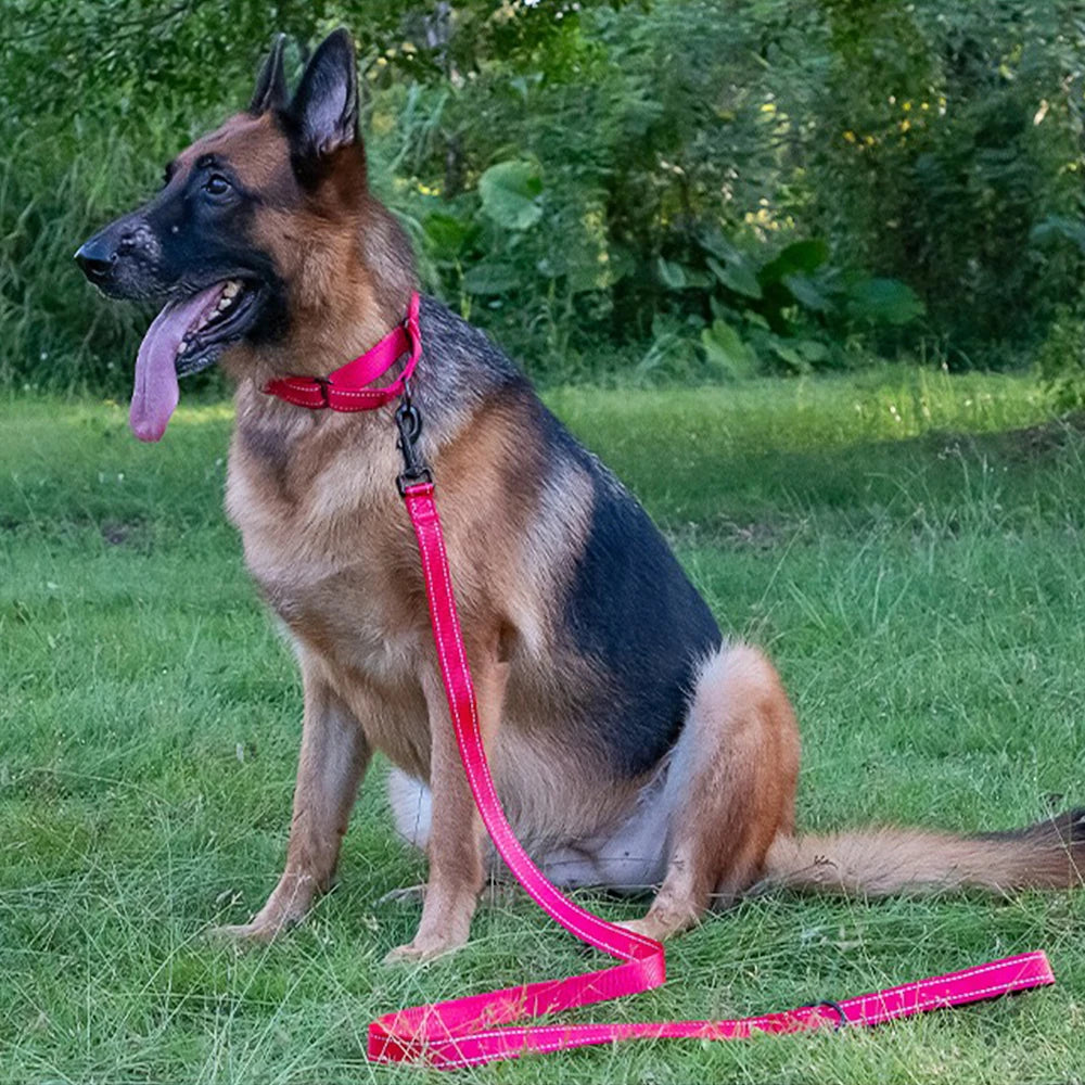 Adjustable Nylon Dog Collar with Safety Lock (2-in-1 Chain)