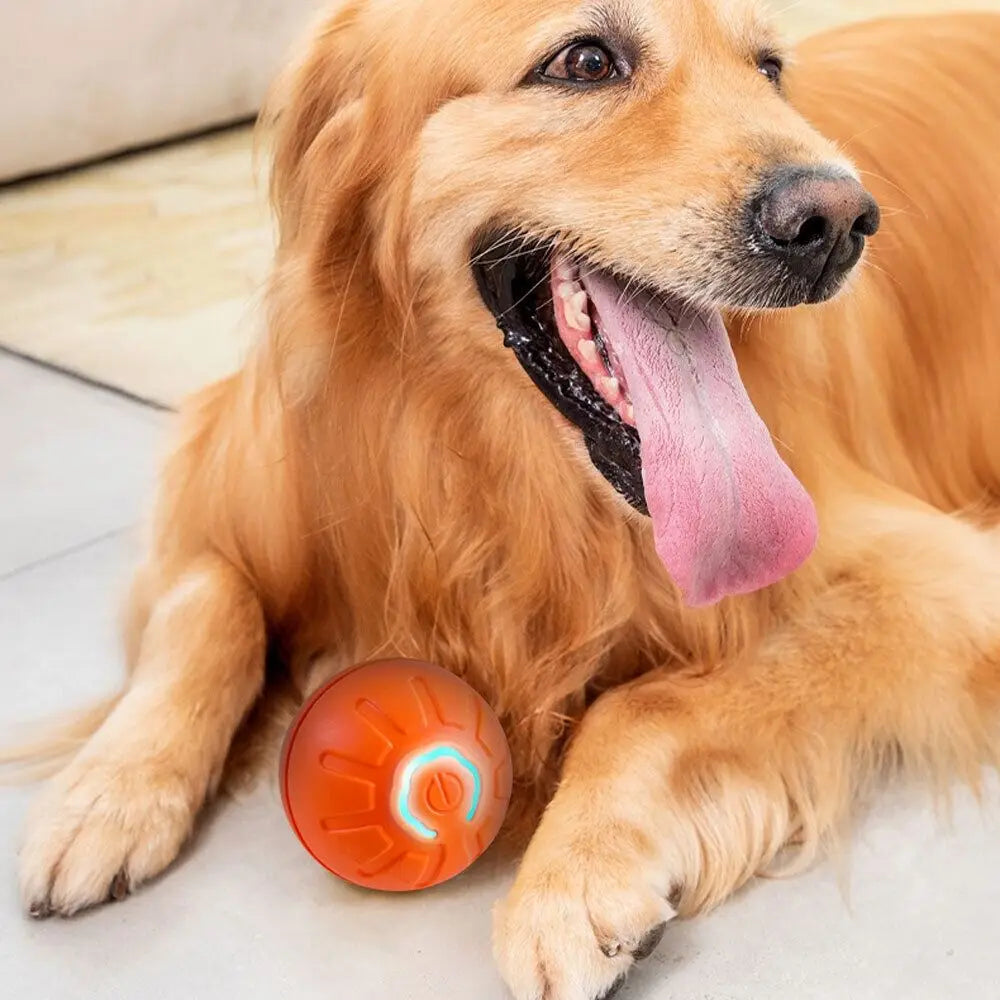BouncyPaws Automatic Dog Ball