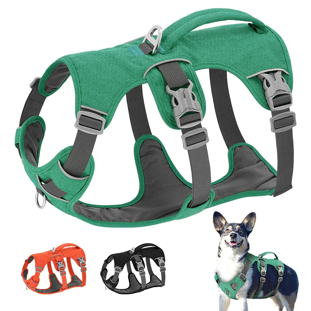Bulldog Nylon Dog Harness