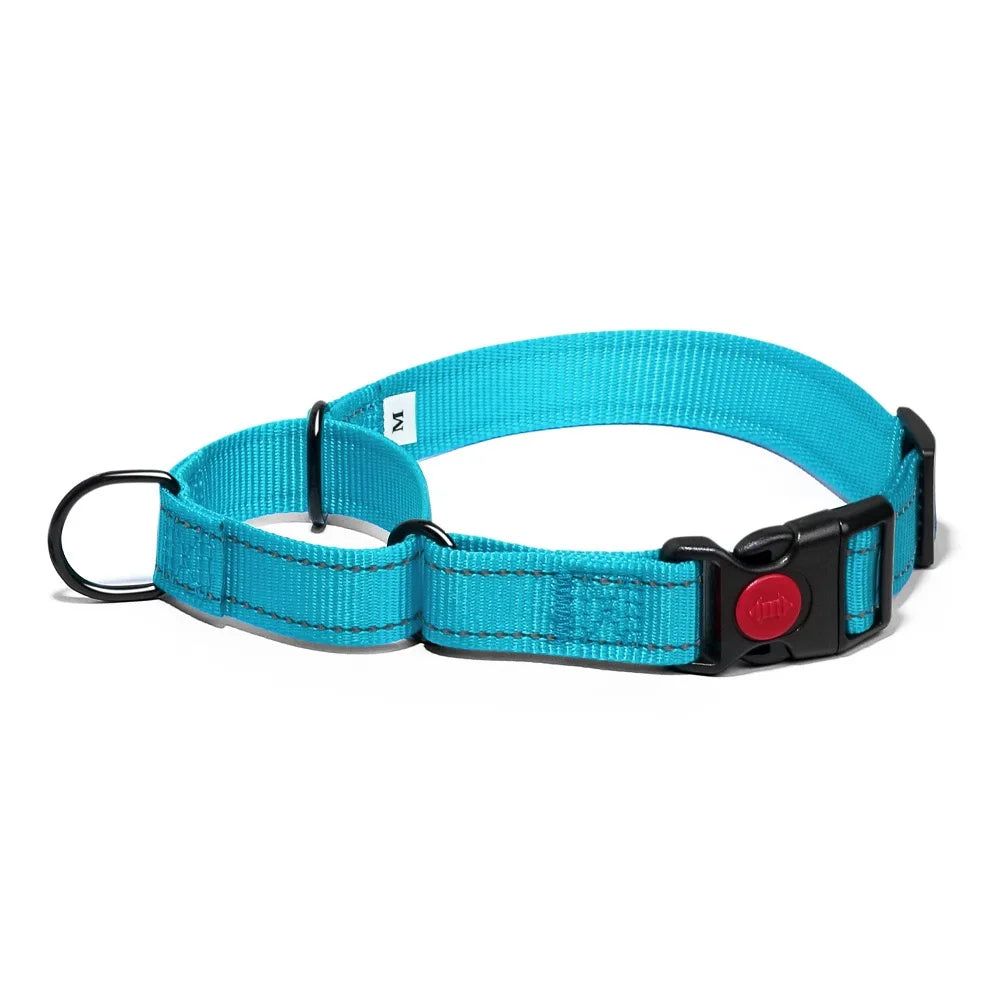 Adjustable Nylon Dog Collar with Safety Lock (2-in-1 Chain)