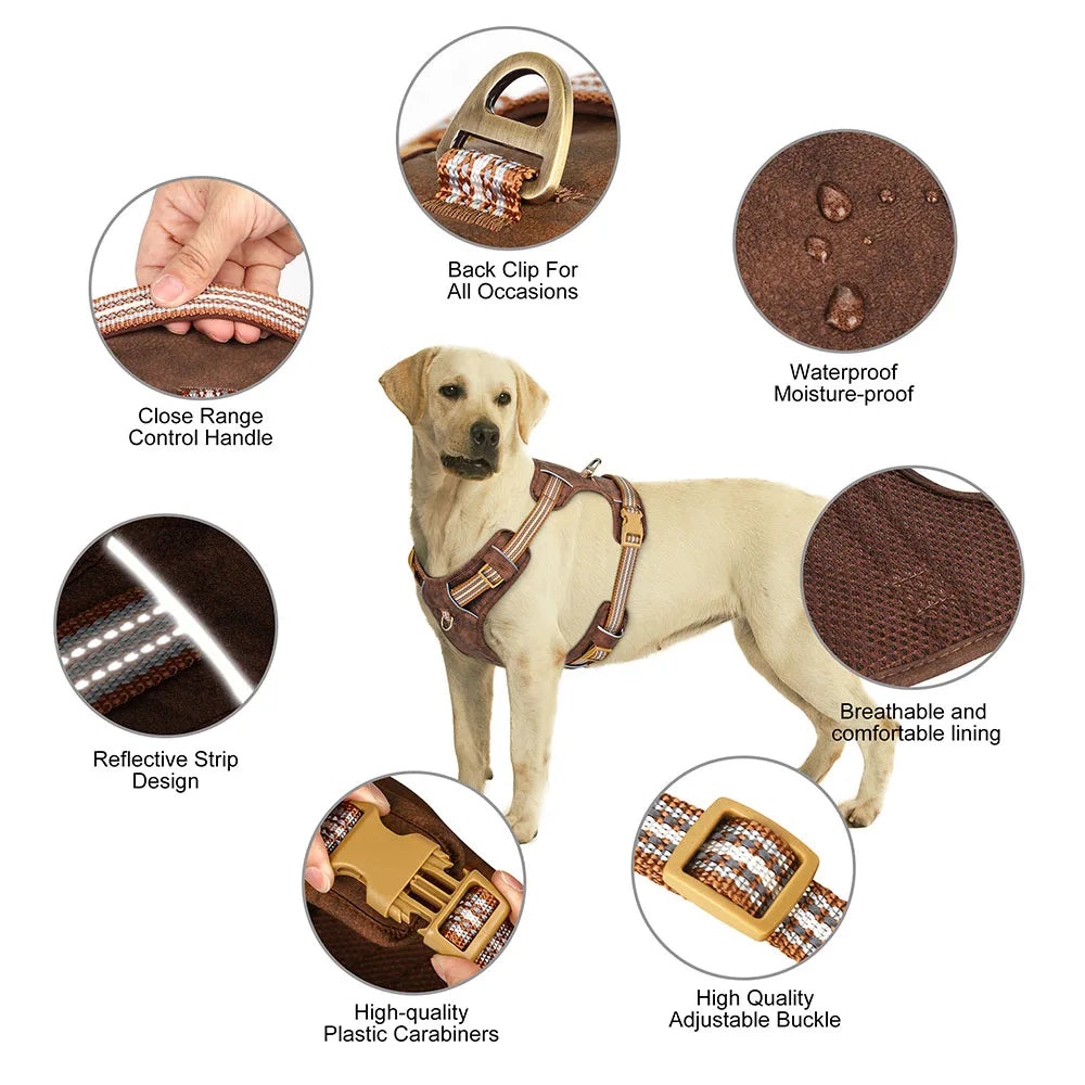 Dog Harness
