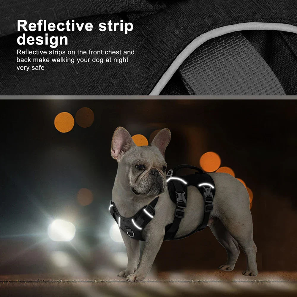 Bulldog Nylon Dog Harness