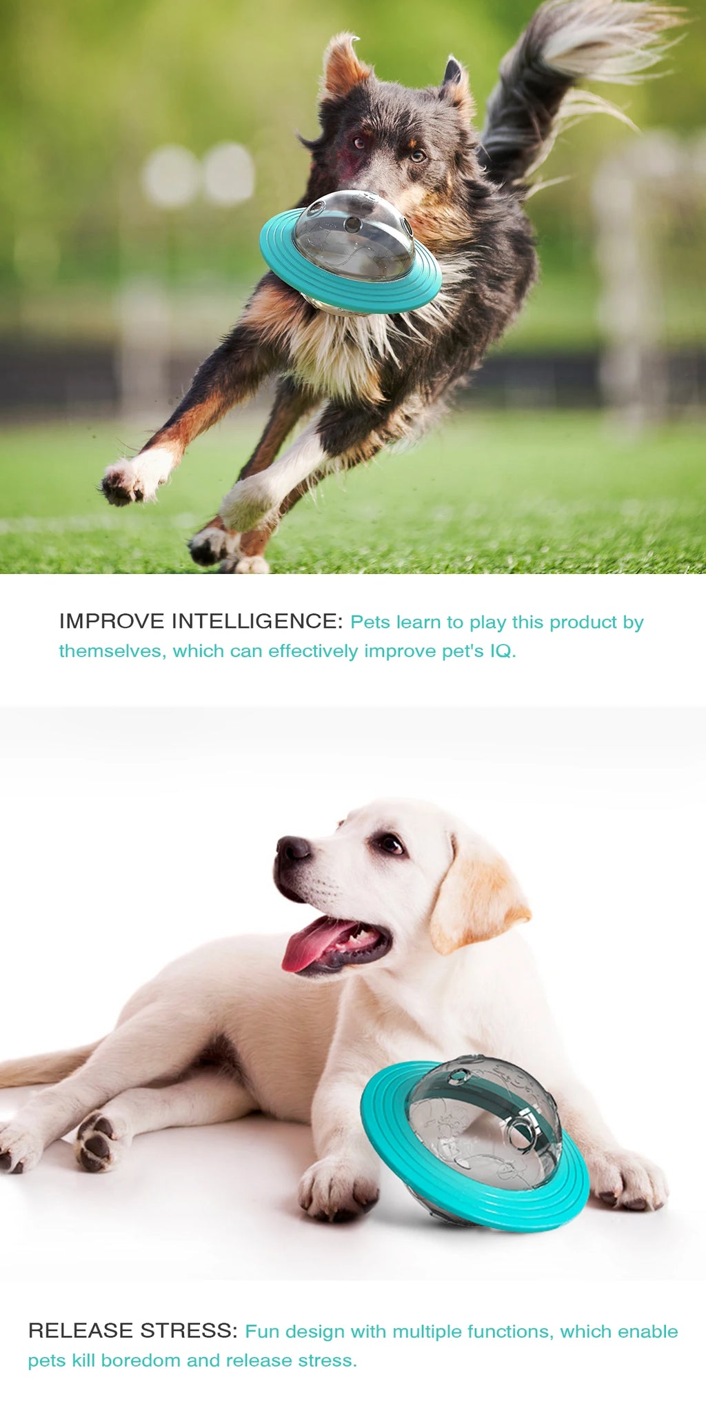 Slow Feed Interactive Dog Toy