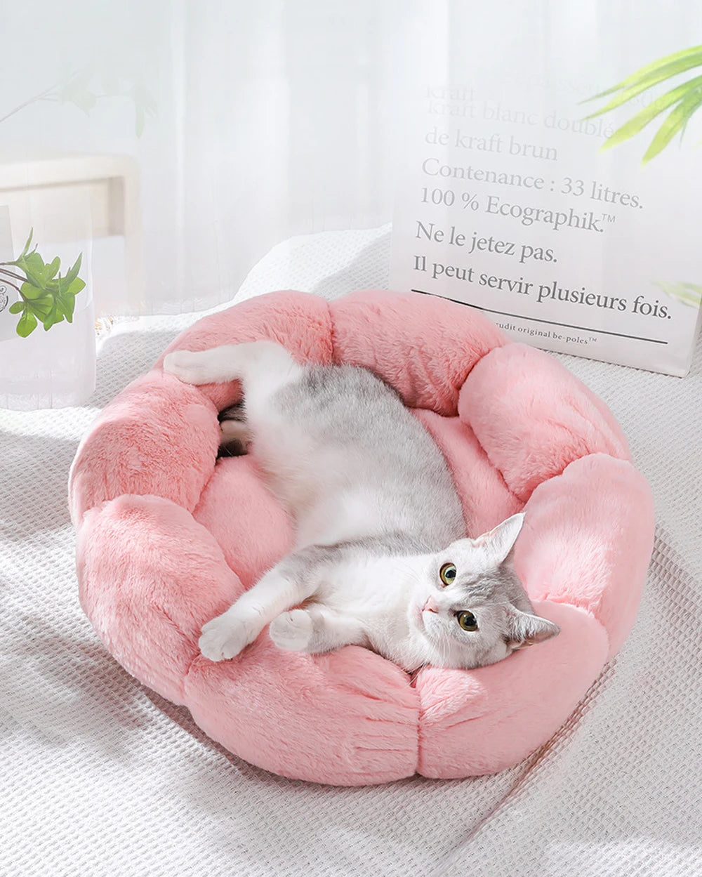 CozyBloom Pet Bed for Cats and Small Dogs