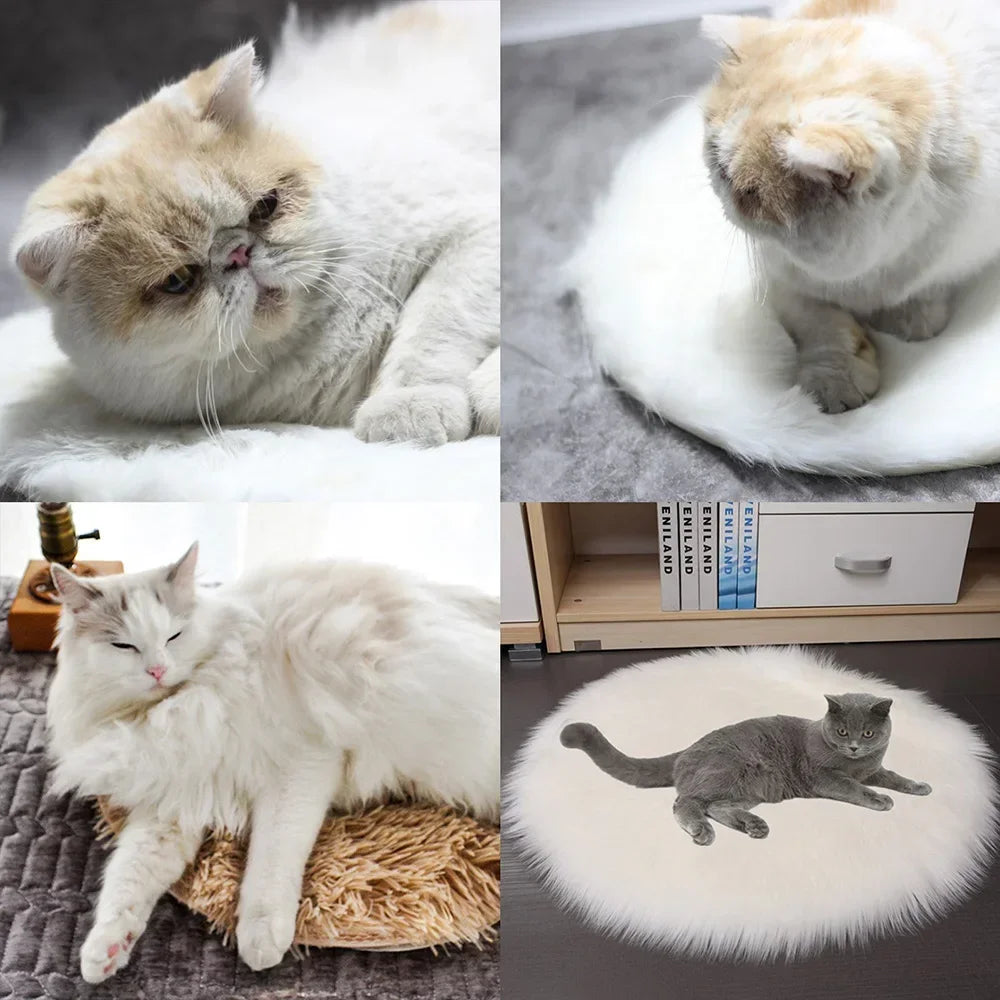 CozyPaws Electric Heating Pad for Pets