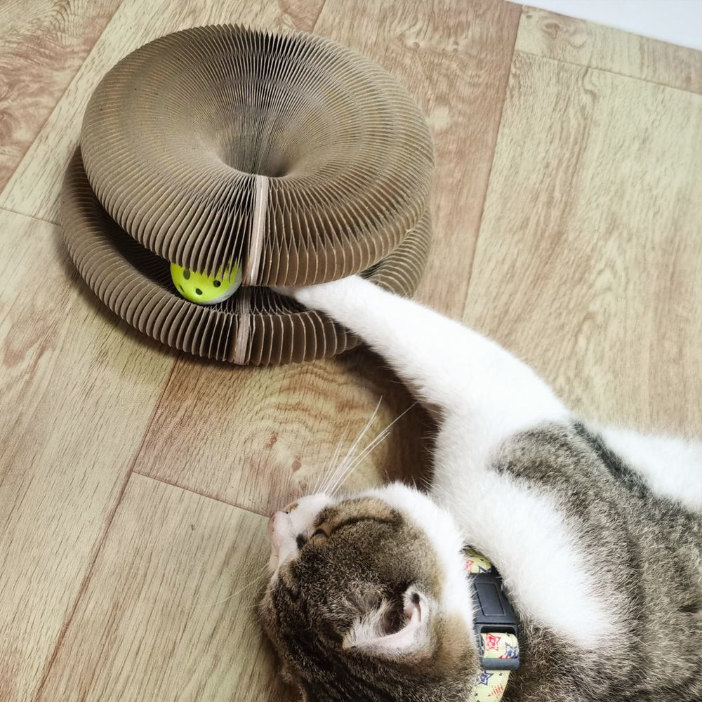 Foldable Cat Scratch Board with Bell