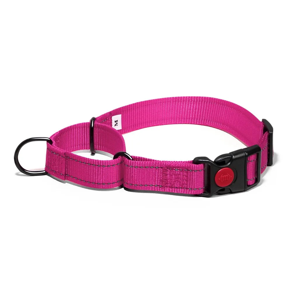 Adjustable Nylon Dog Collar with Safety Lock (2-in-1 Chain)