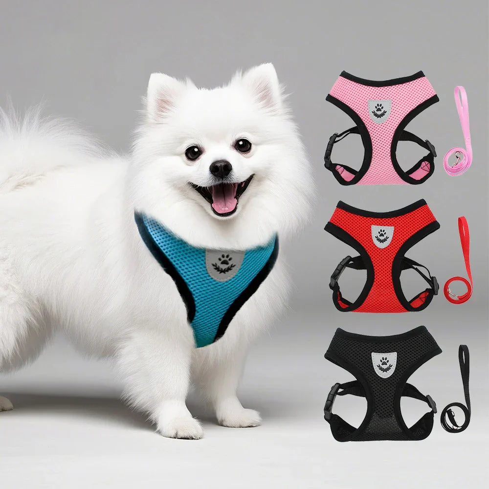 Dog Harnesses