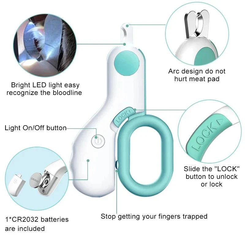 LED Light Cat