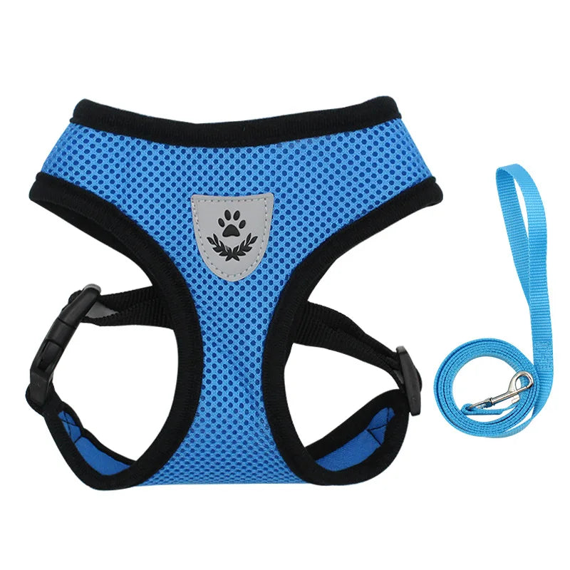 Dog Harnesses