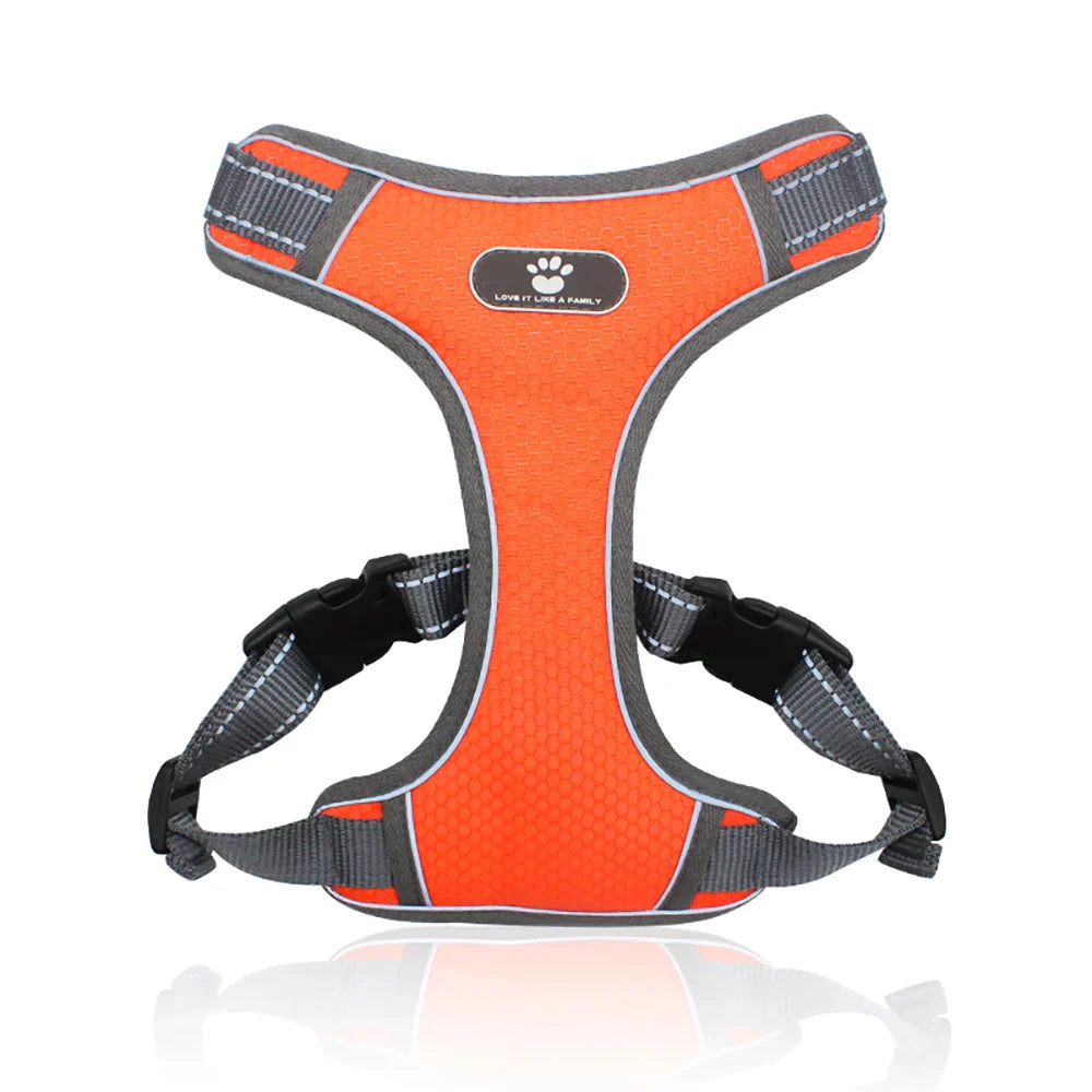 Dog Rainproof Harness Set