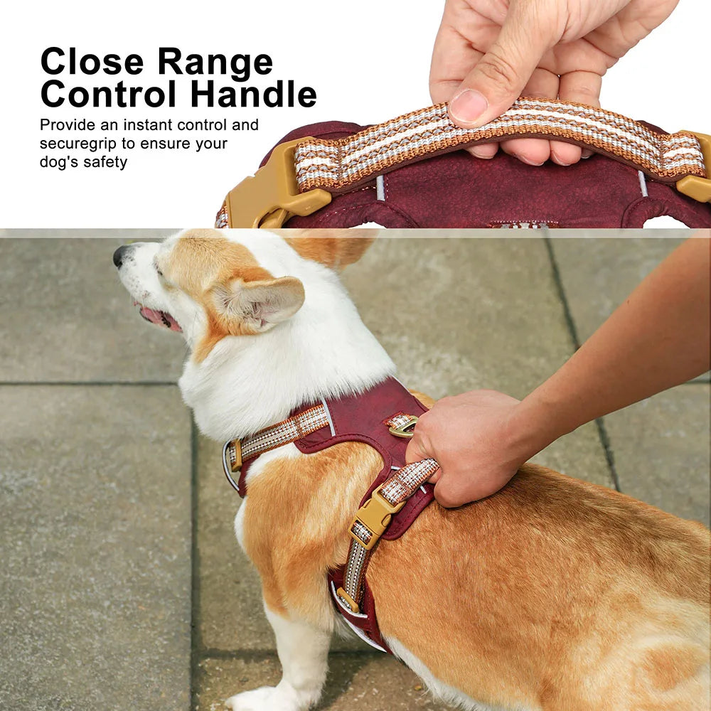 Dog Harness