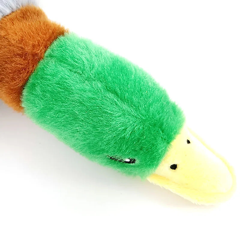 Plush Wild Duck Dog Toy with Squeaker