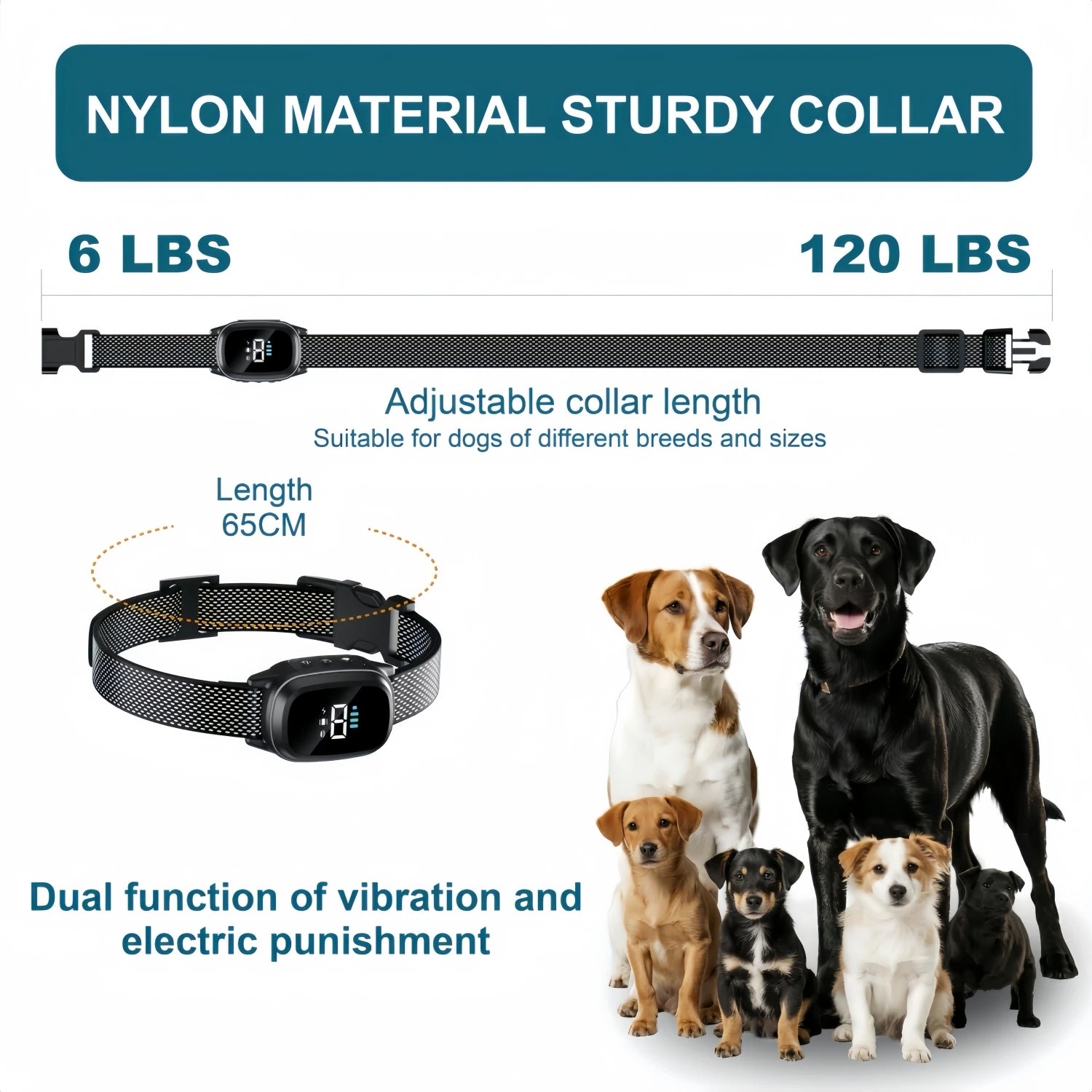 Anti-Bark Training Collar for Dogs