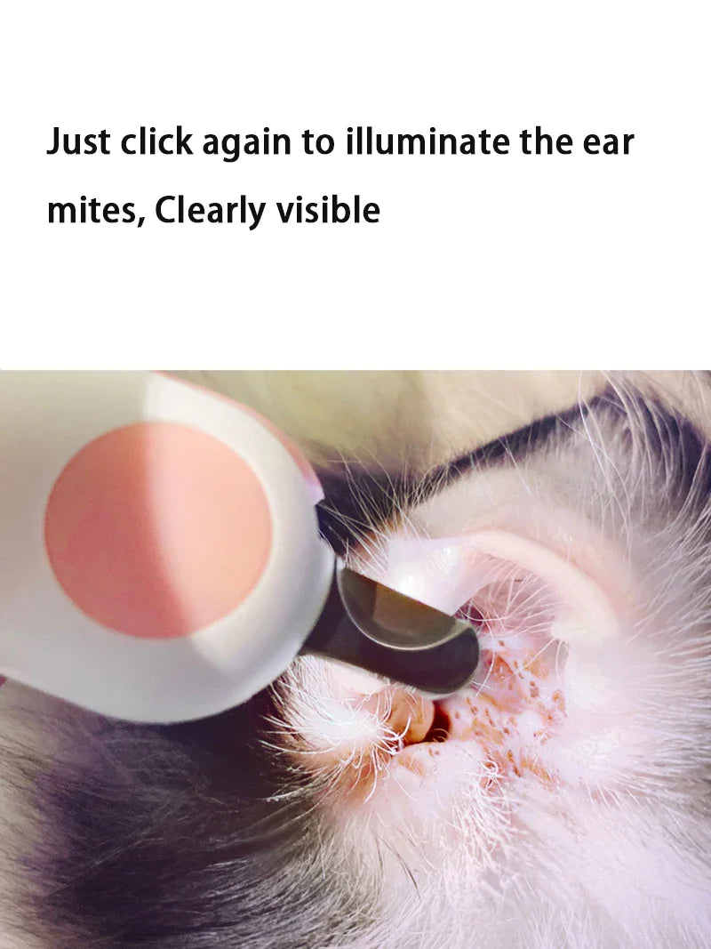 LED Light Cat