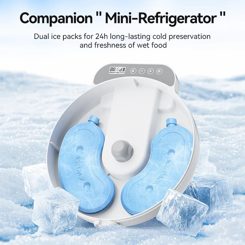Food Dispenser For Cats