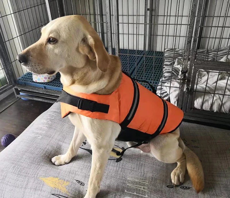 Dog Life Jacket Vest