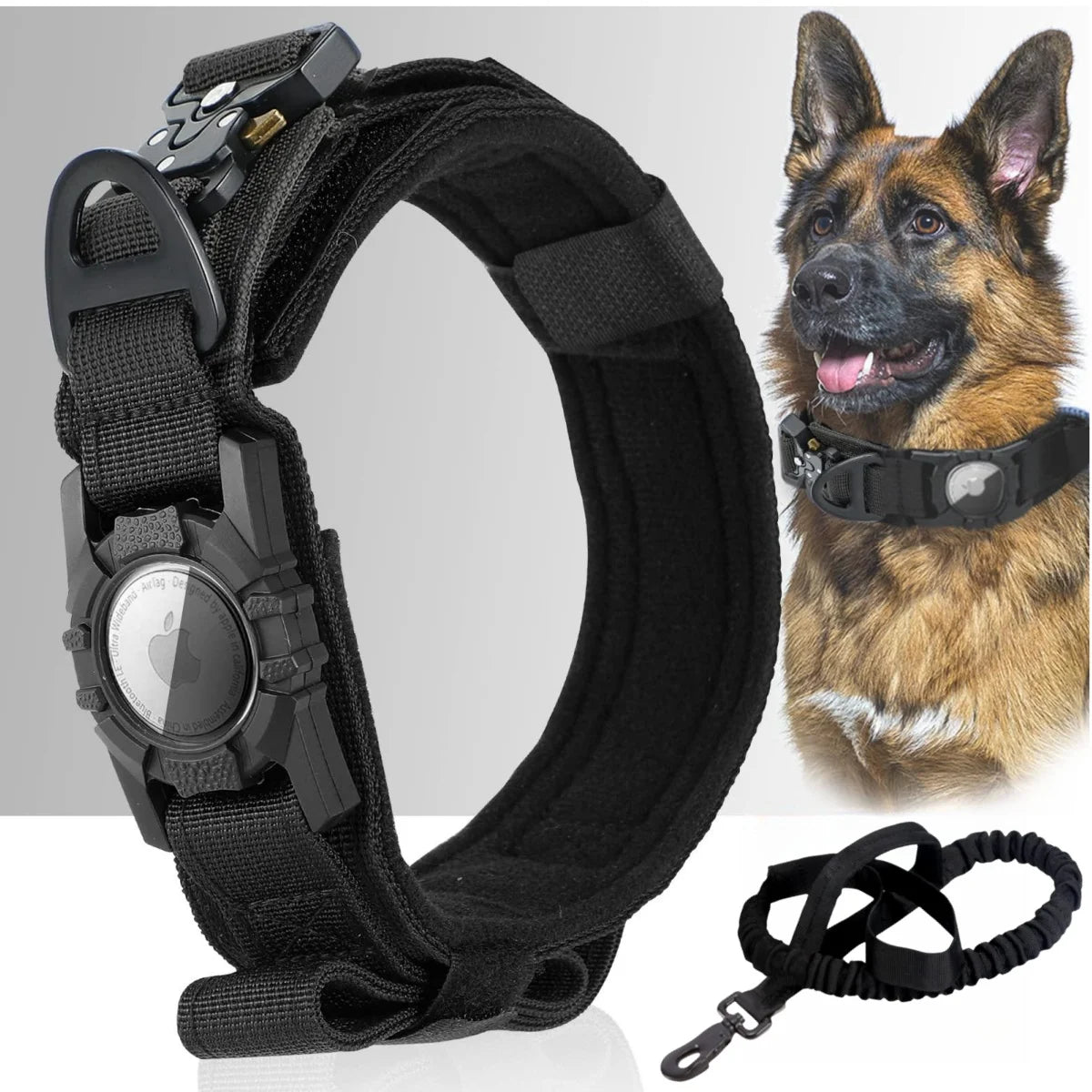 AlphaTag Military Dog Collar