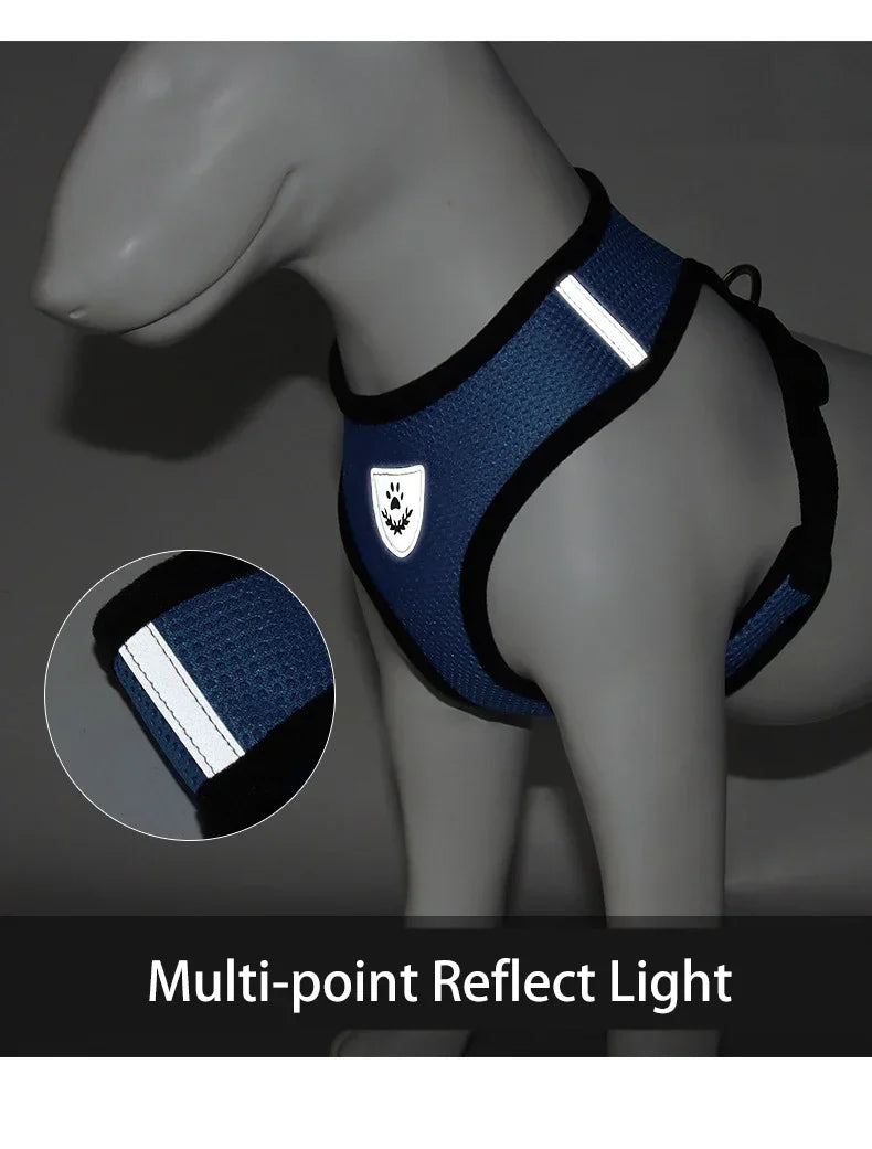 Dog Harnesses