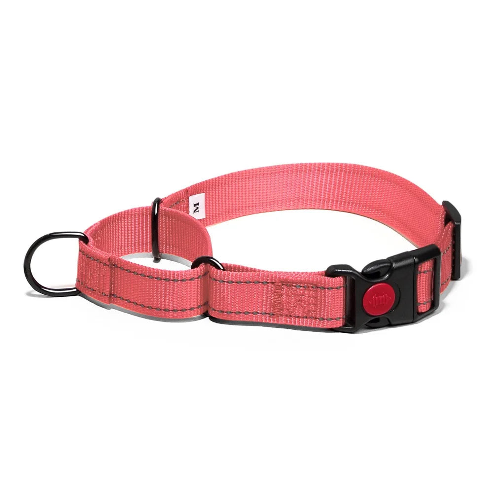 Adjustable Nylon Dog Collar with Safety Lock (2-in-1 Chain)