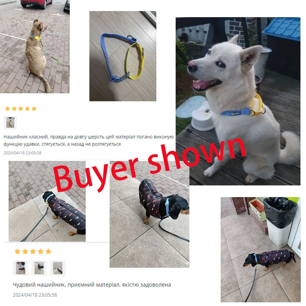 PawTough Waterproof Dog Collar