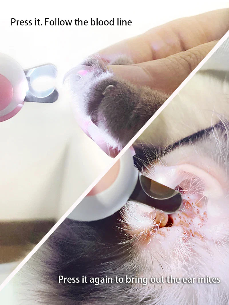 LED Light Cat