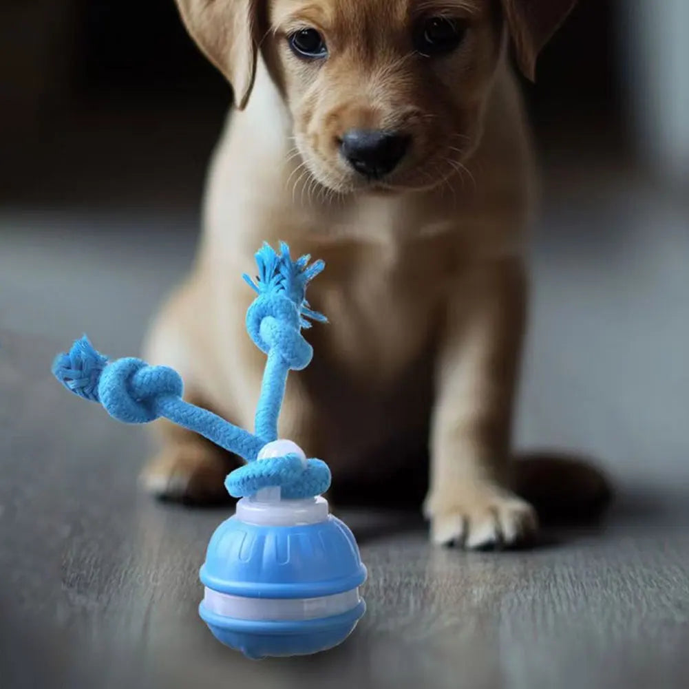 Interactive Motion Rolling Ball for Dogs
