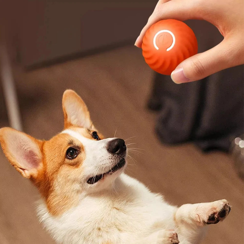 BounceBuddy™ Interactive Pet Ball