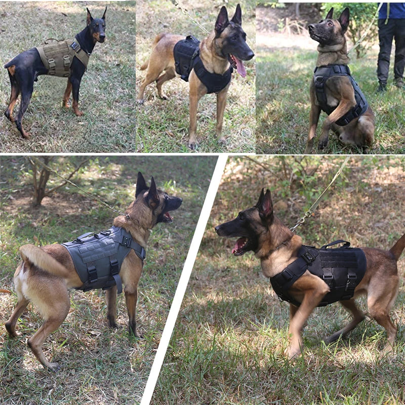 Tactical Dog Harness & Leash Set