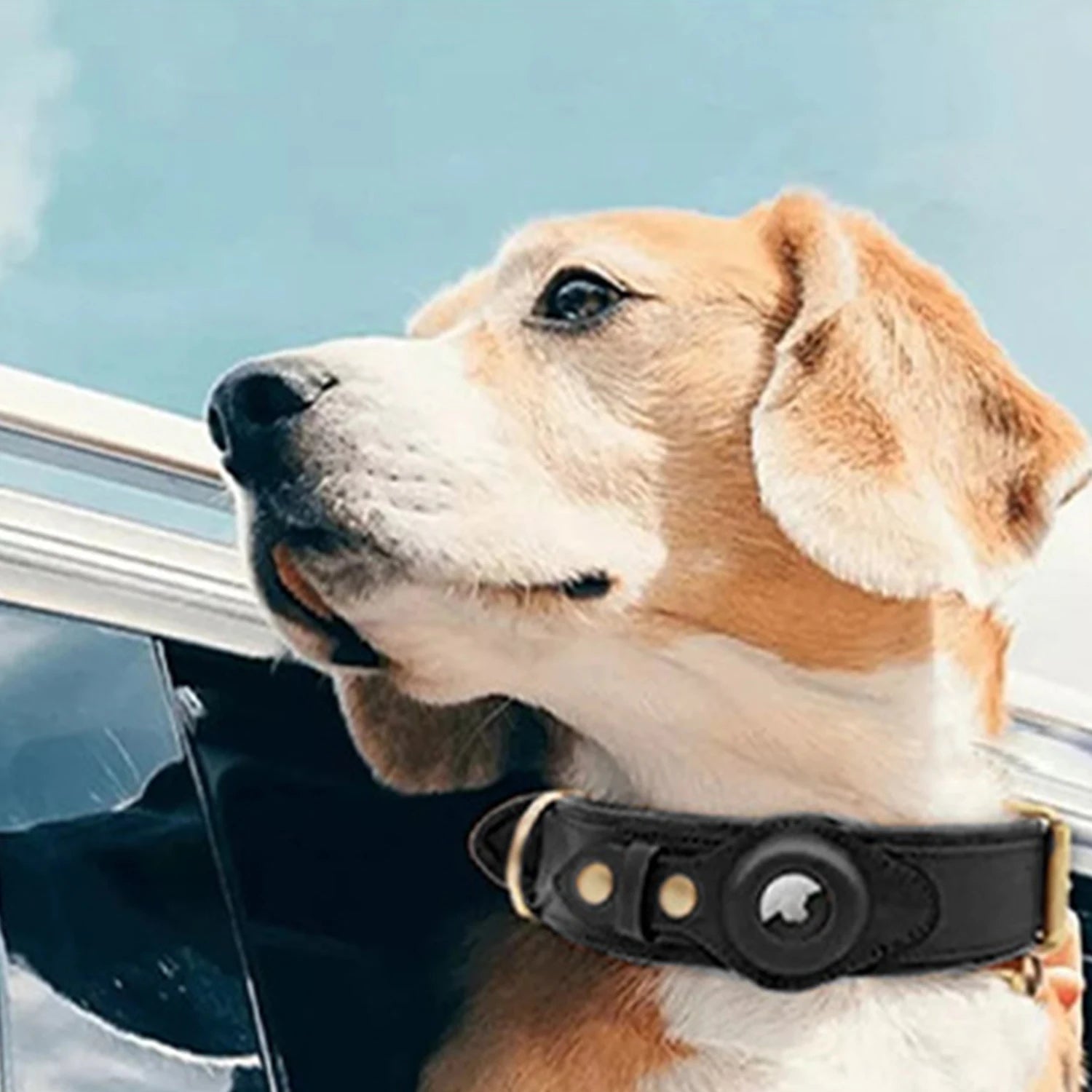 AirTag Holder Dog Collar – Leather
