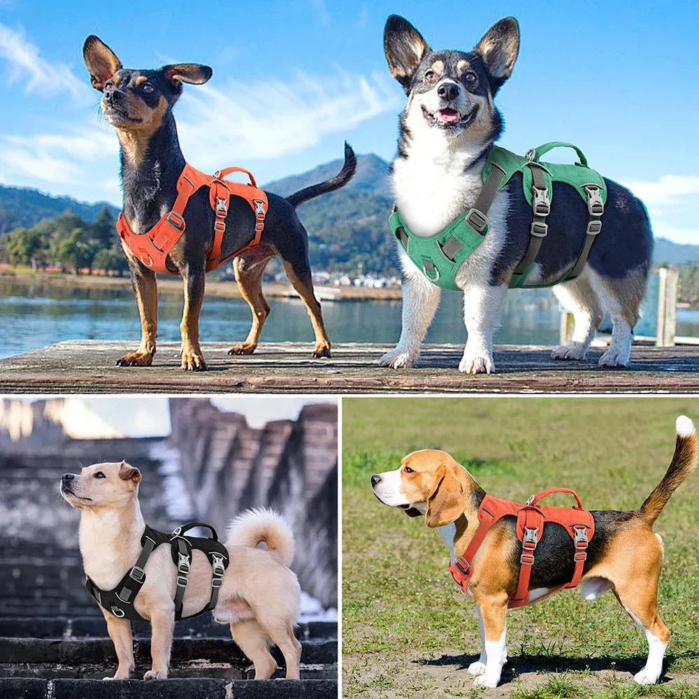 Bulldog Nylon Dog Harness