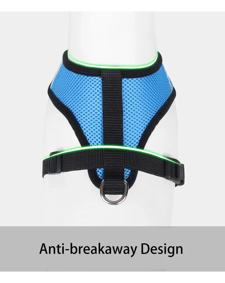 Dog Harnesses