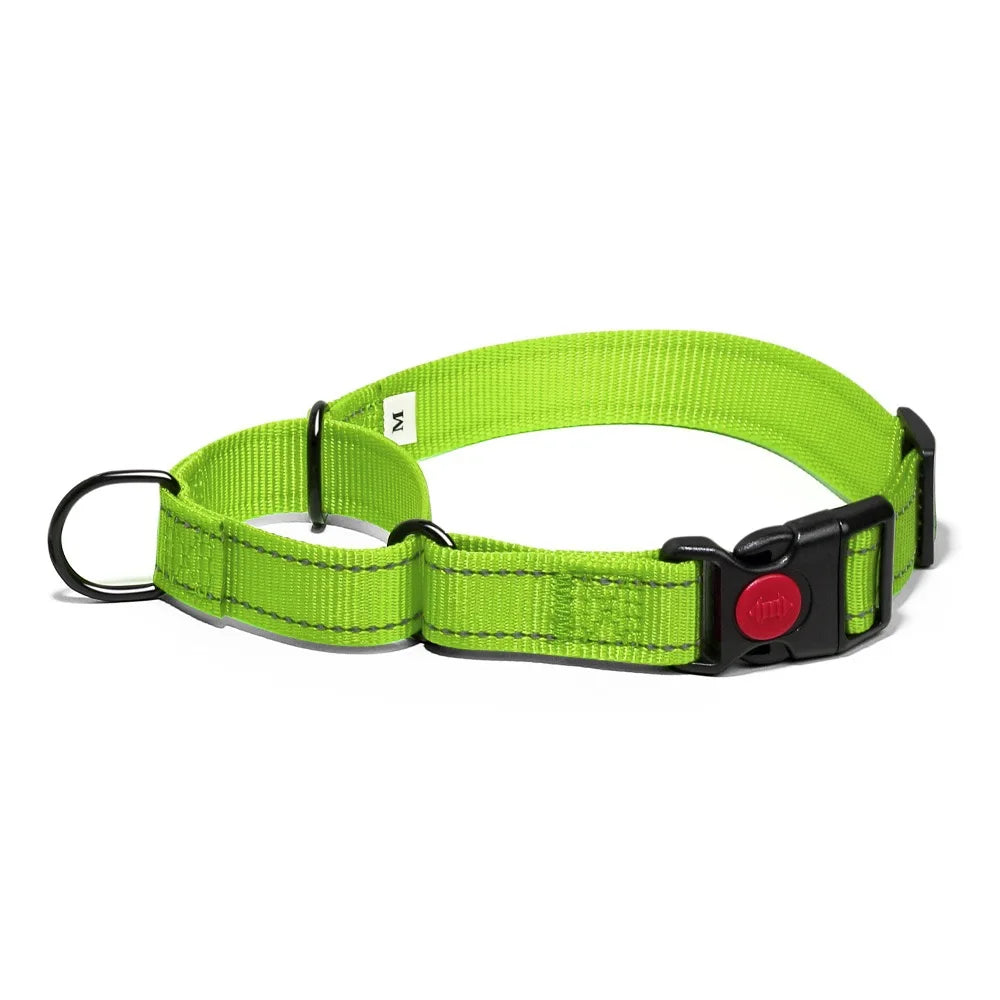 Adjustable Nylon Dog Collar with Safety Lock (2-in-1 Chain)