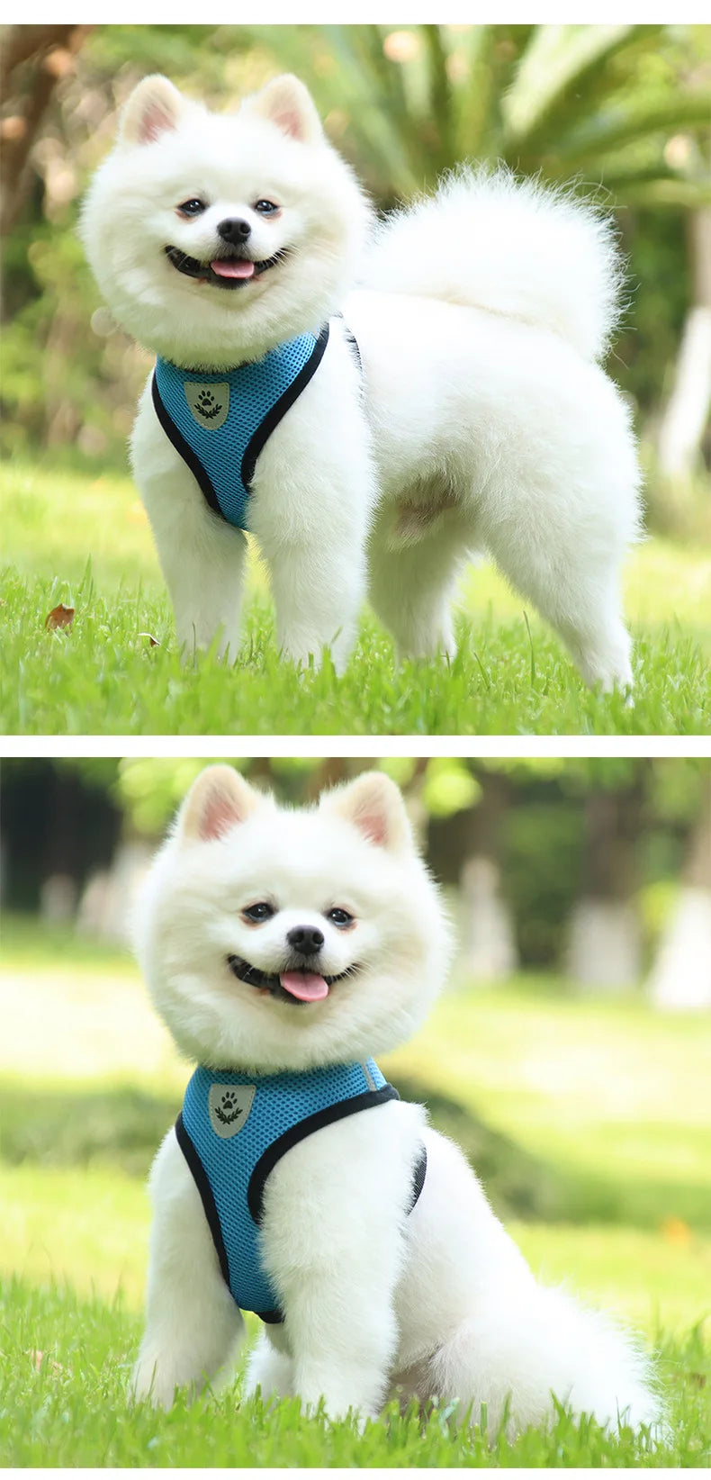 Dog Harnesses