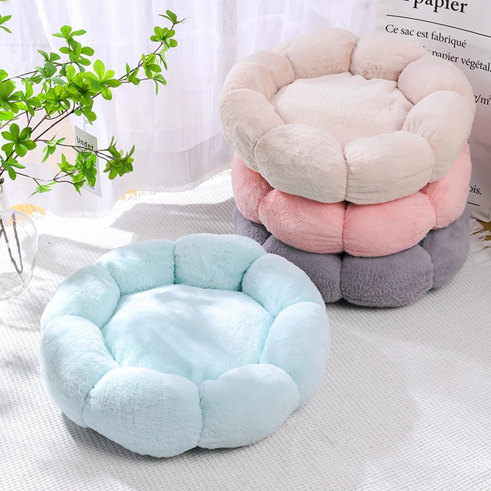 CozyBloom Pet Bed for Cats and Small Dogs