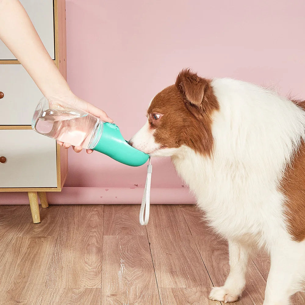 Dog Water Bottles