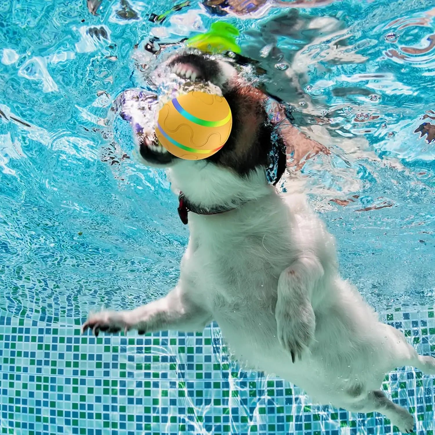 WigglePaws Shaky Ball Toy for Dogs