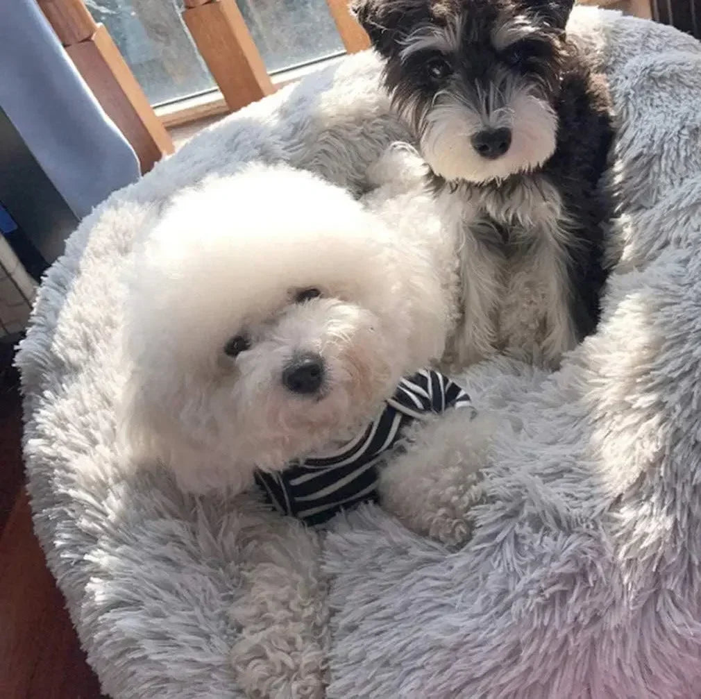 CozyNest Plush Pet Bed for Cats and Dogs
