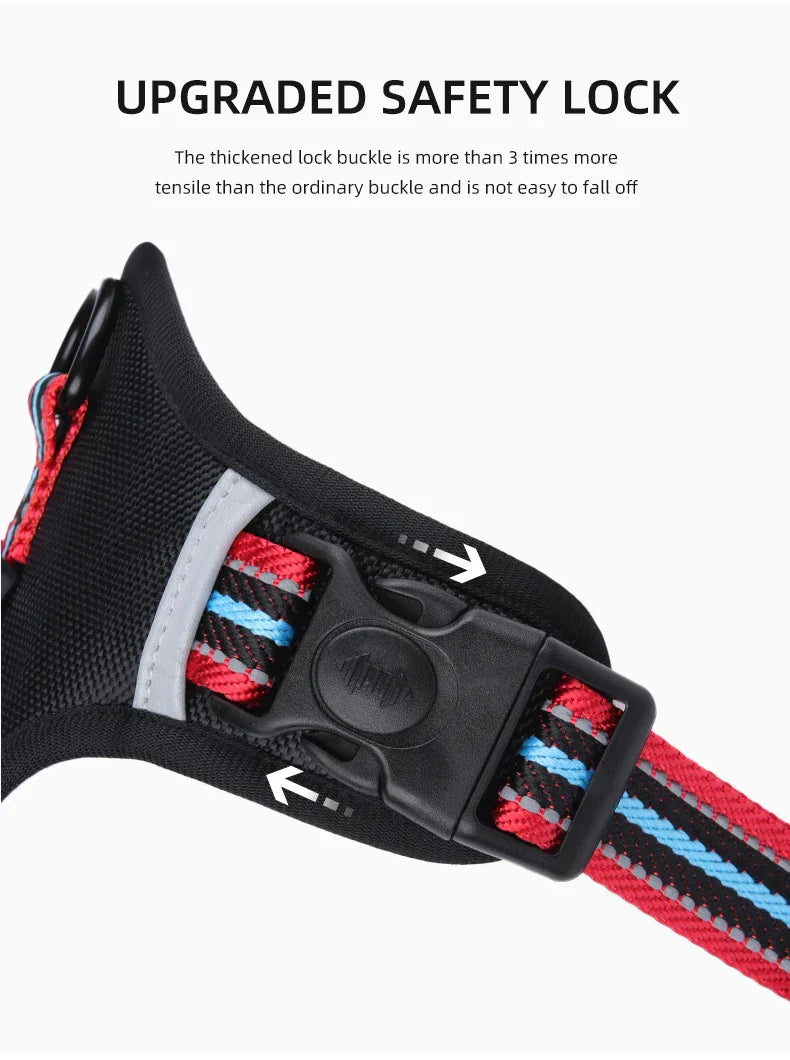 Travel Dog Harness & Lead