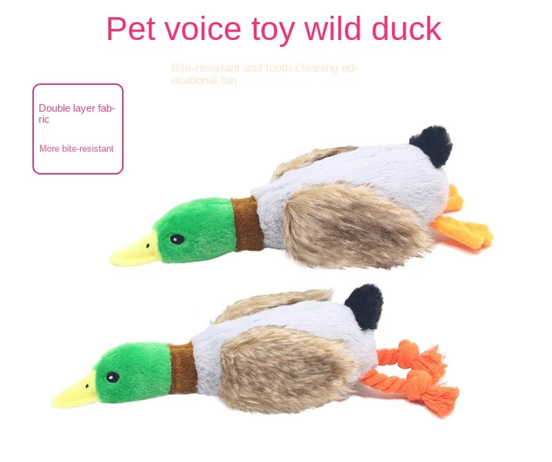 Plush Wild Duck Dog Toy with Squeaker