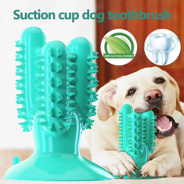 🦷 Dog Toothbrush Chew Toy