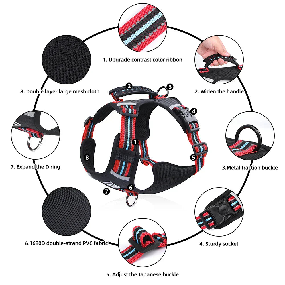 Travel Dog Harness & Lead