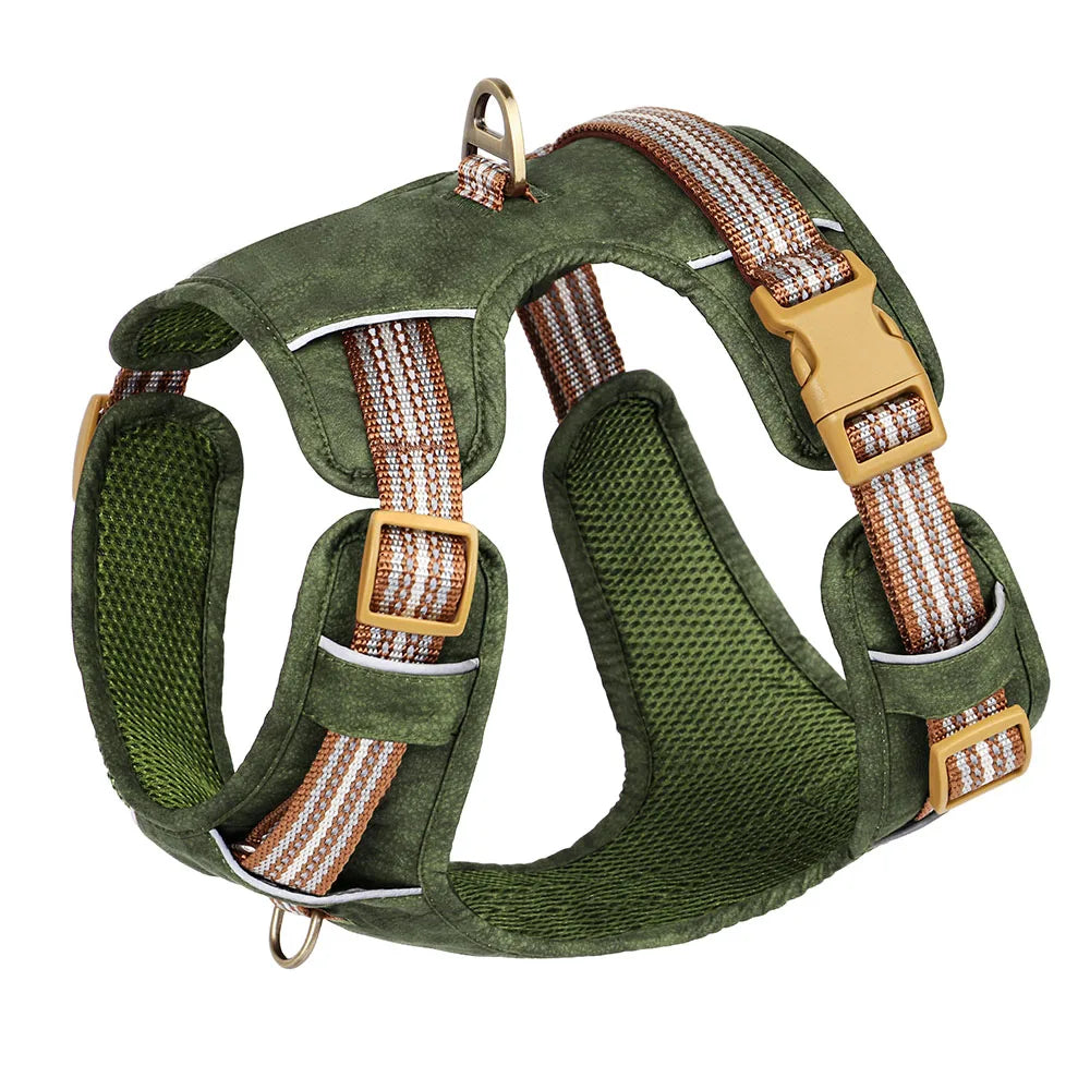 Dog Harness