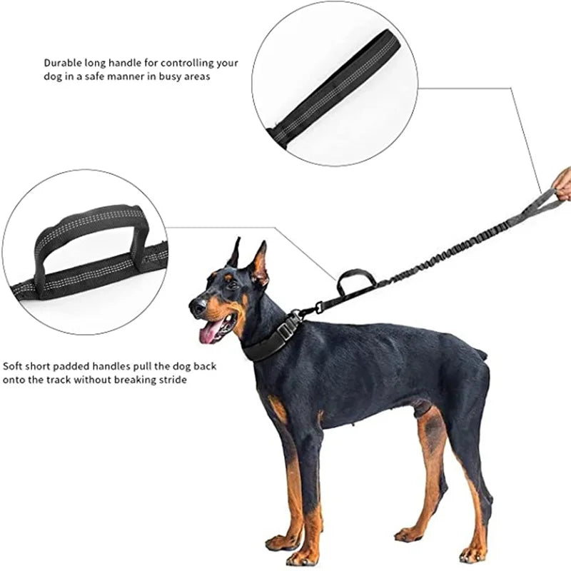 AlphaTag Military Dog Collar