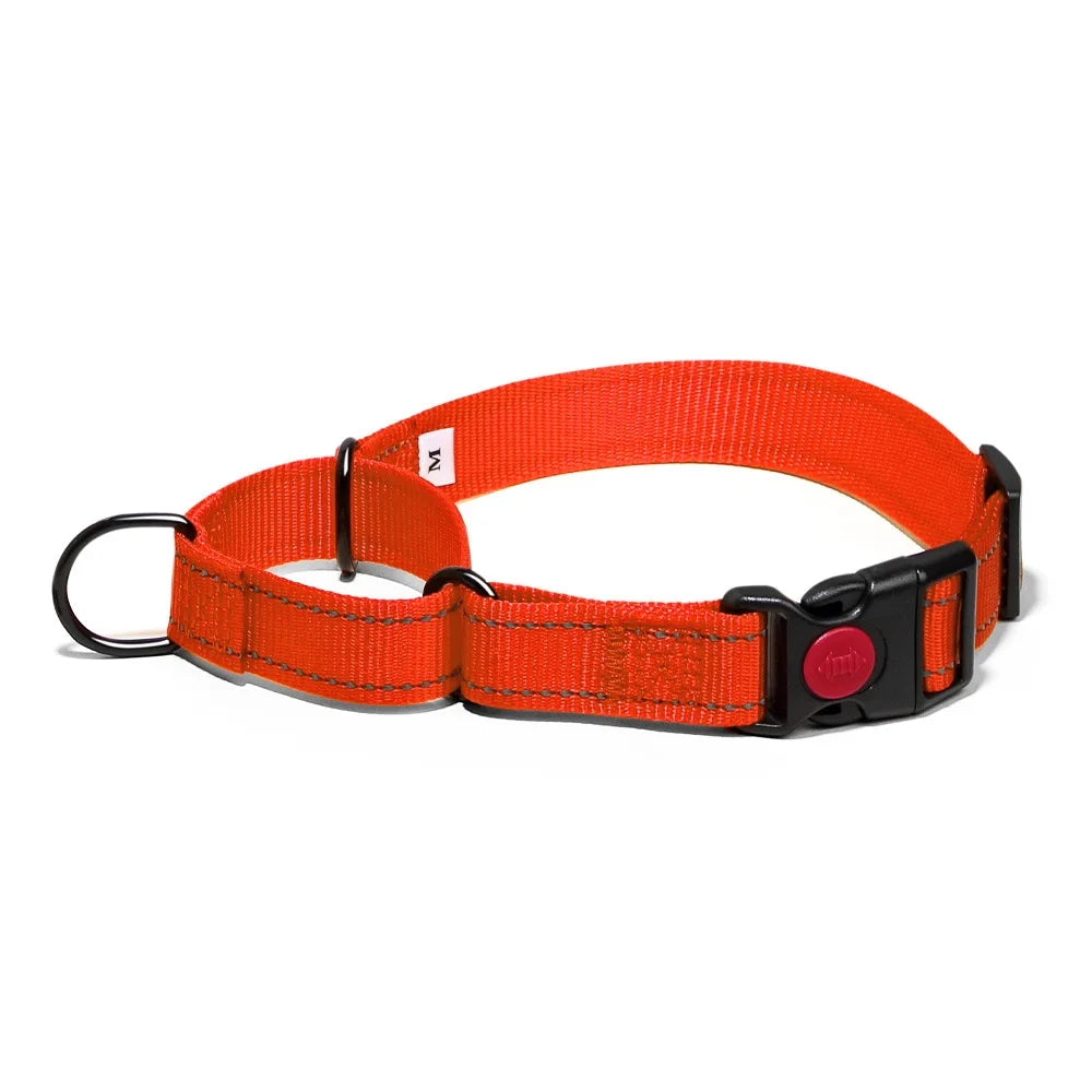 Adjustable Nylon Dog Collar with Safety Lock (2-in-1 Chain)