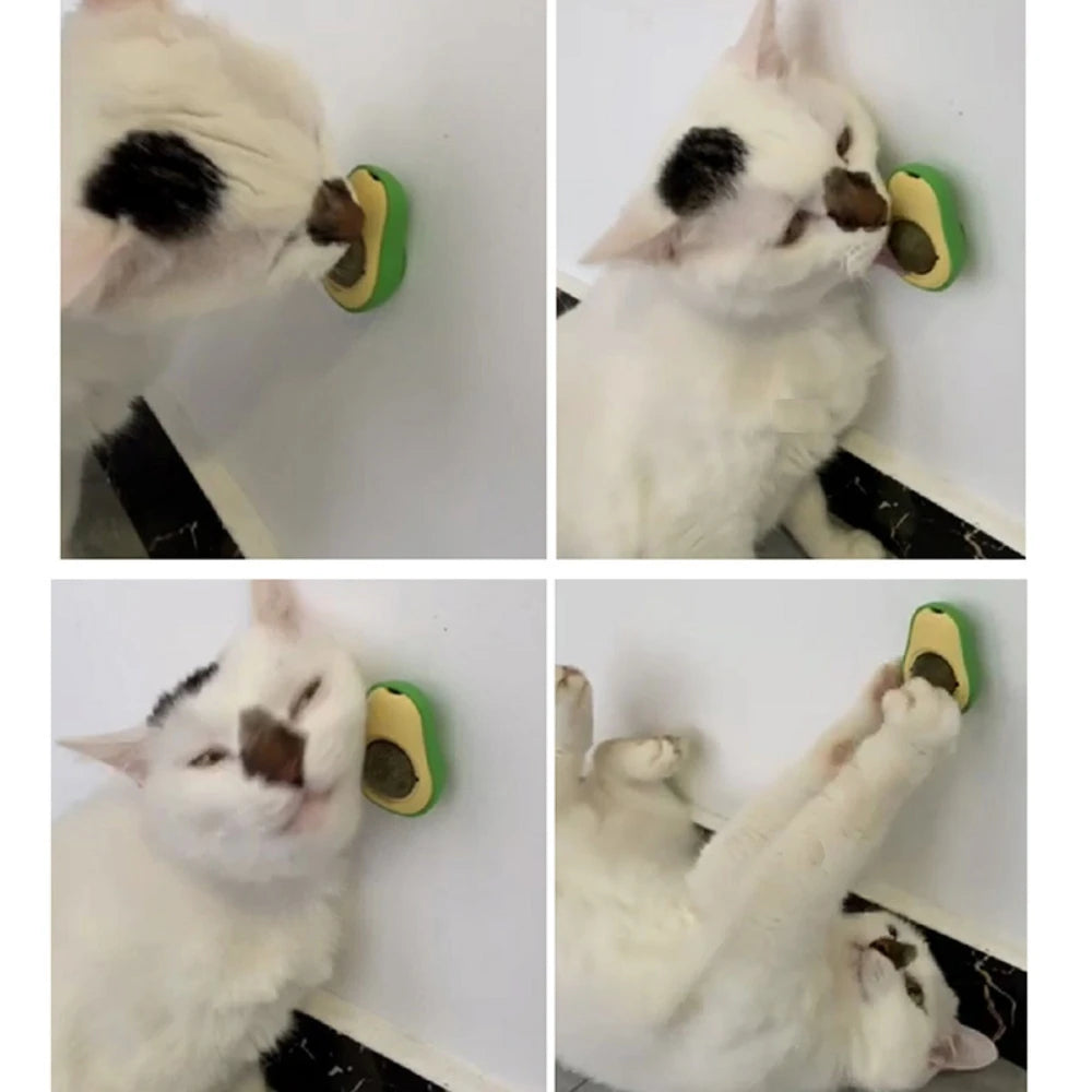 Catnip Wall Ball – Rotatable Stick-On Toy