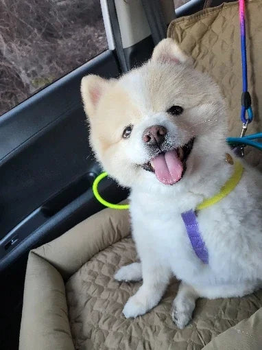 Waterproof Pet Car Seat Nest