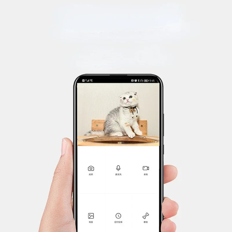 Automatic Pet Feeder