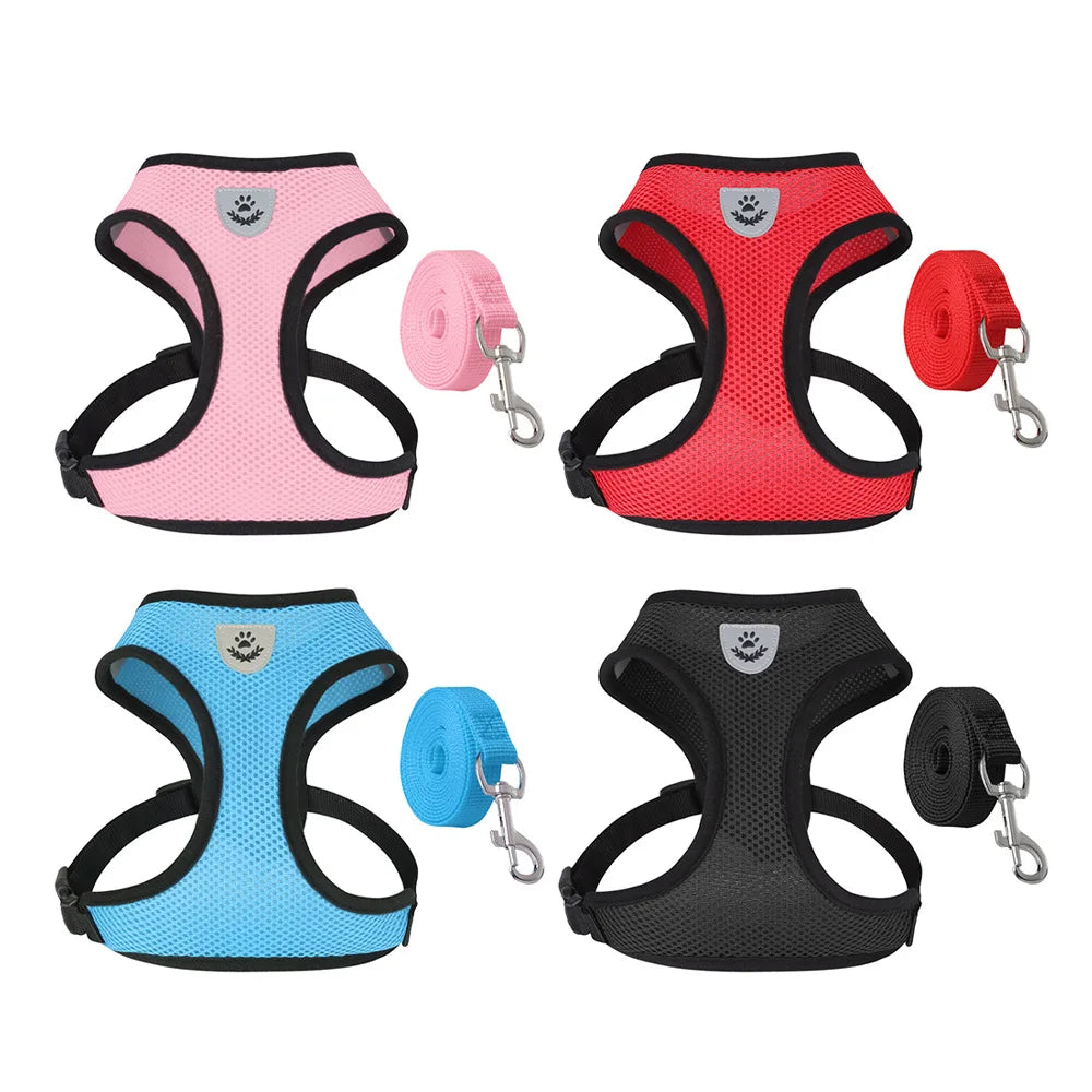 Dog Harnesses