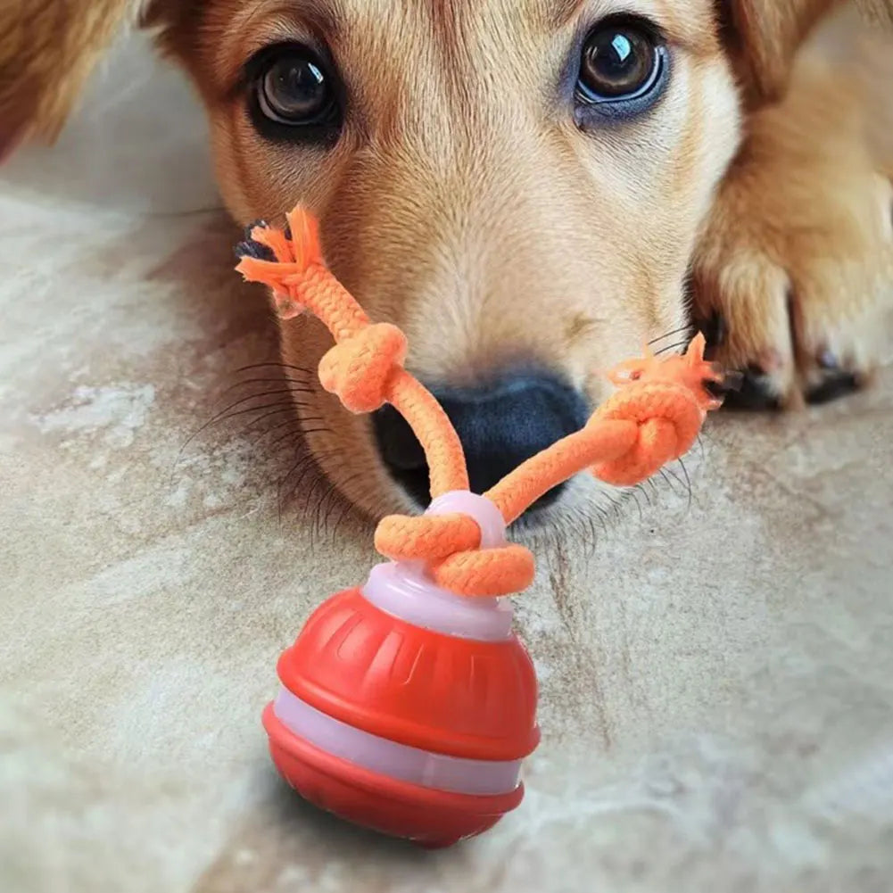 Interactive Motion Rolling Ball for Dogs